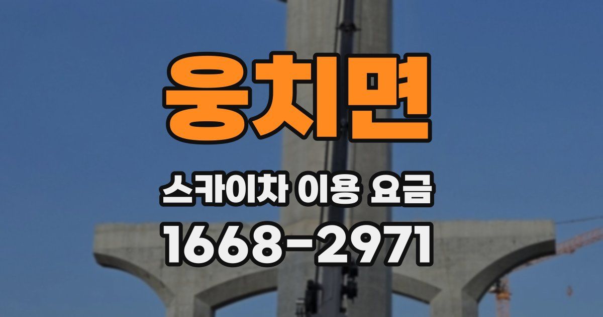 웅치면 스카이차 이용 요금
