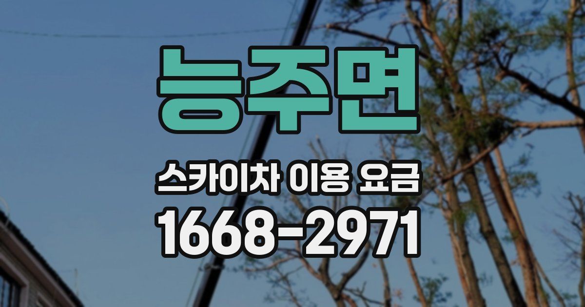 능주면 스카이차 이용 요금