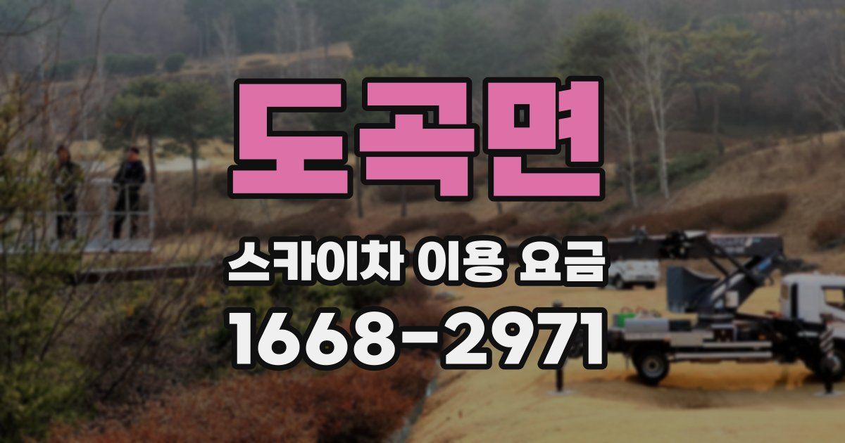 도곡면 스카이차 이용 요금