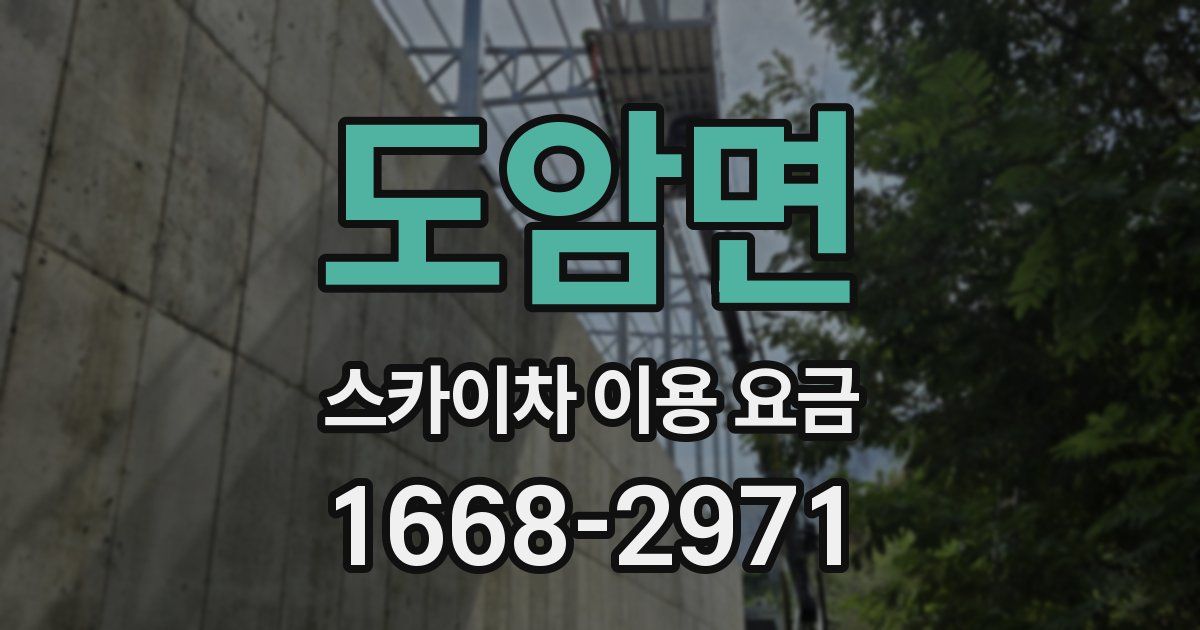 도암면 스카이차 이용 요금