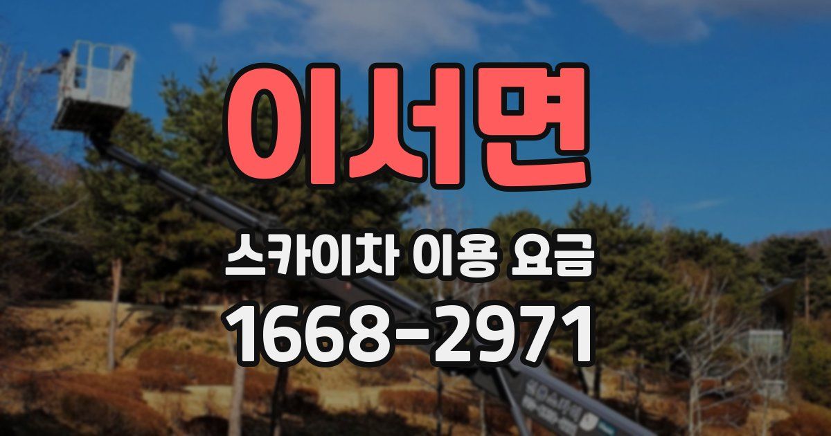 이서면 스카이차 이용 요금