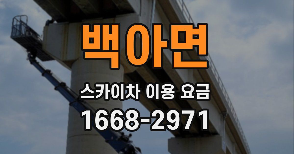 백아면 스카이차 이용 요금