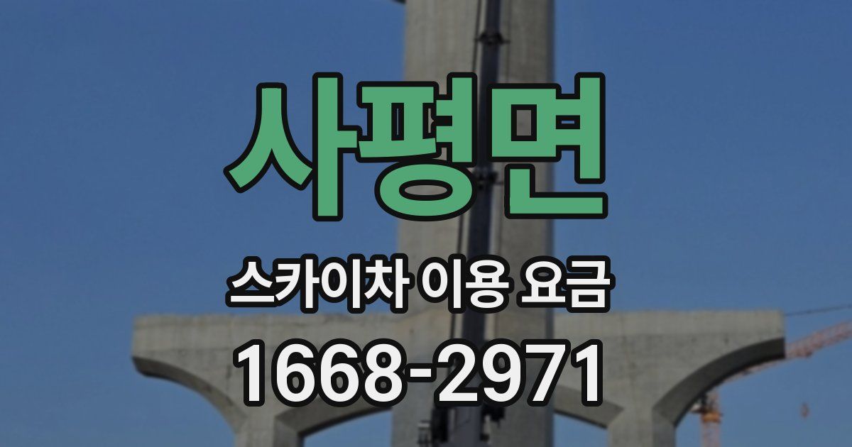 사평면 스카이차 이용 요금