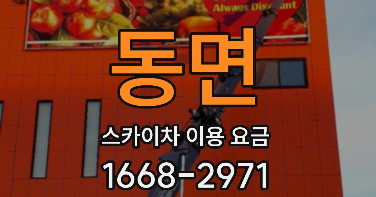 동면 스카이차 이용 요금