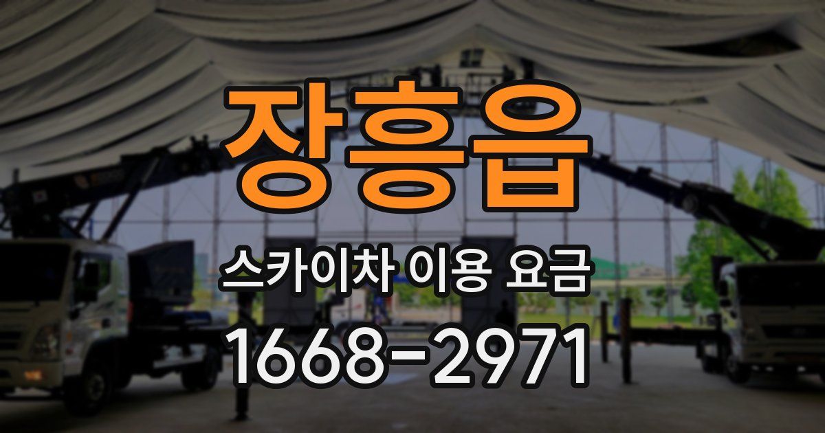 장흥읍 스카이차 이용 요금