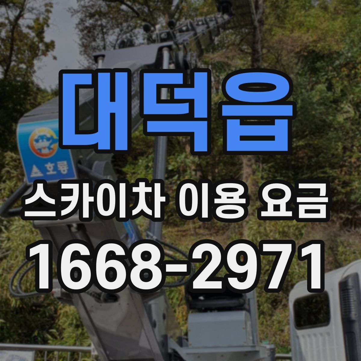 대덕읍 스카이차 이용 요금