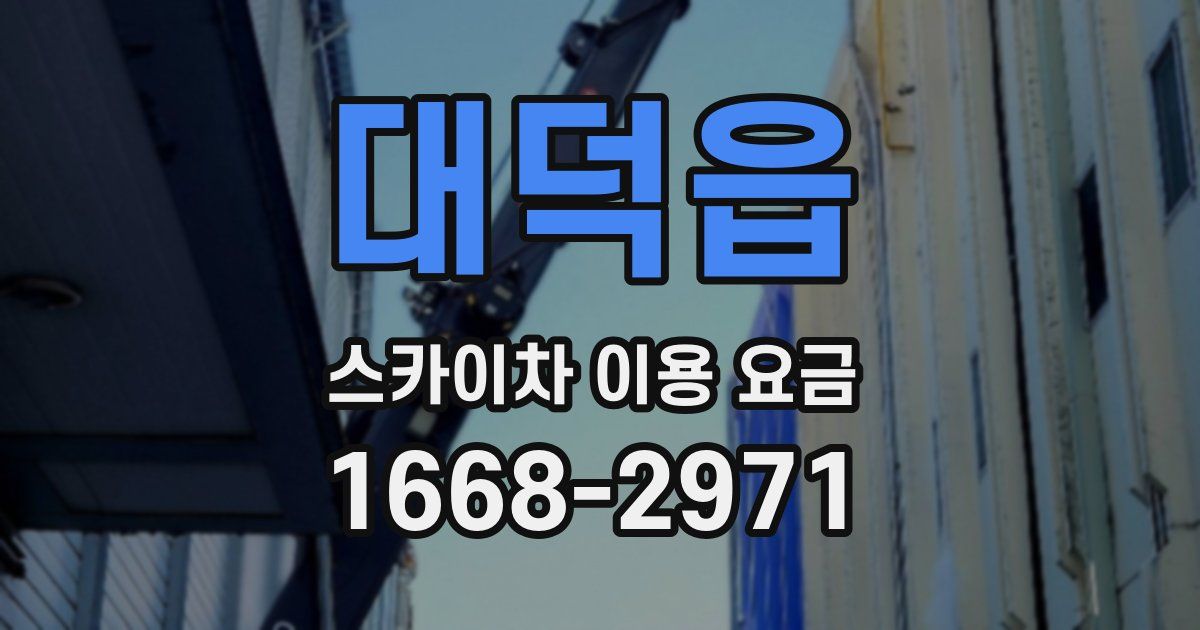 대덕읍 스카이차 이용 요금