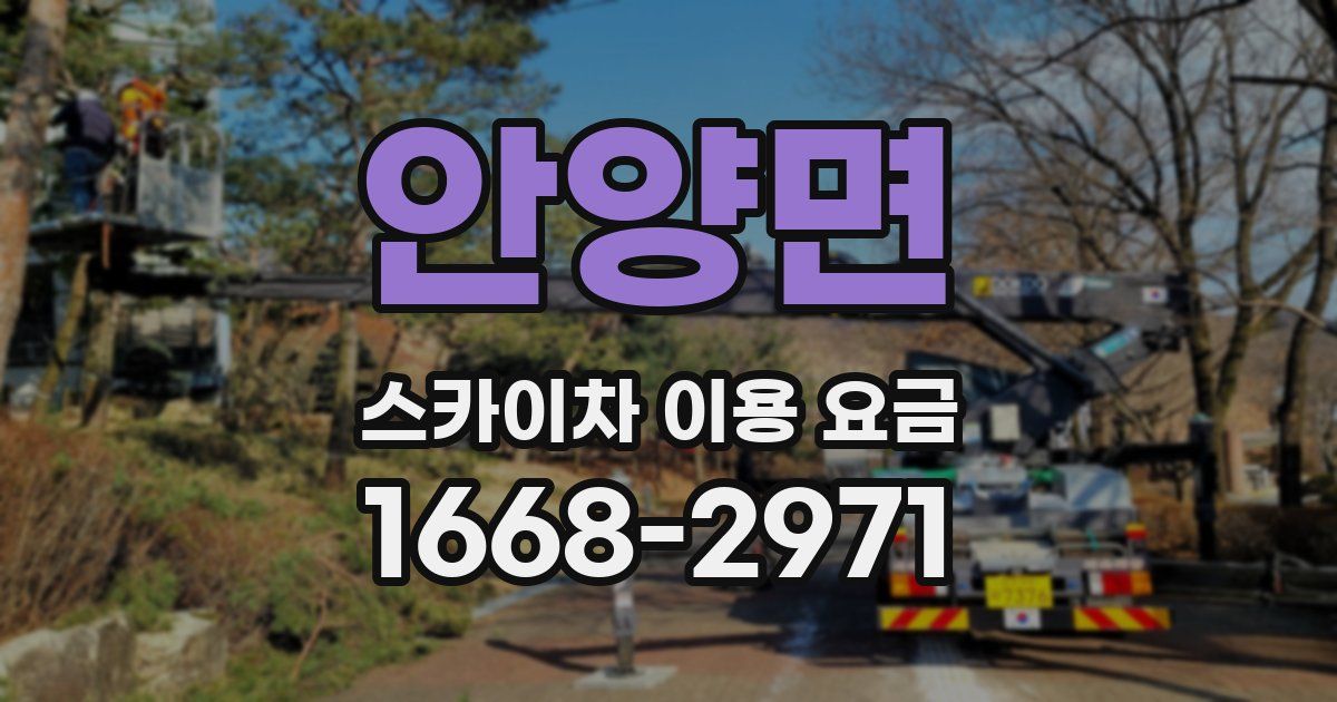 안양면 스카이차 이용 요금