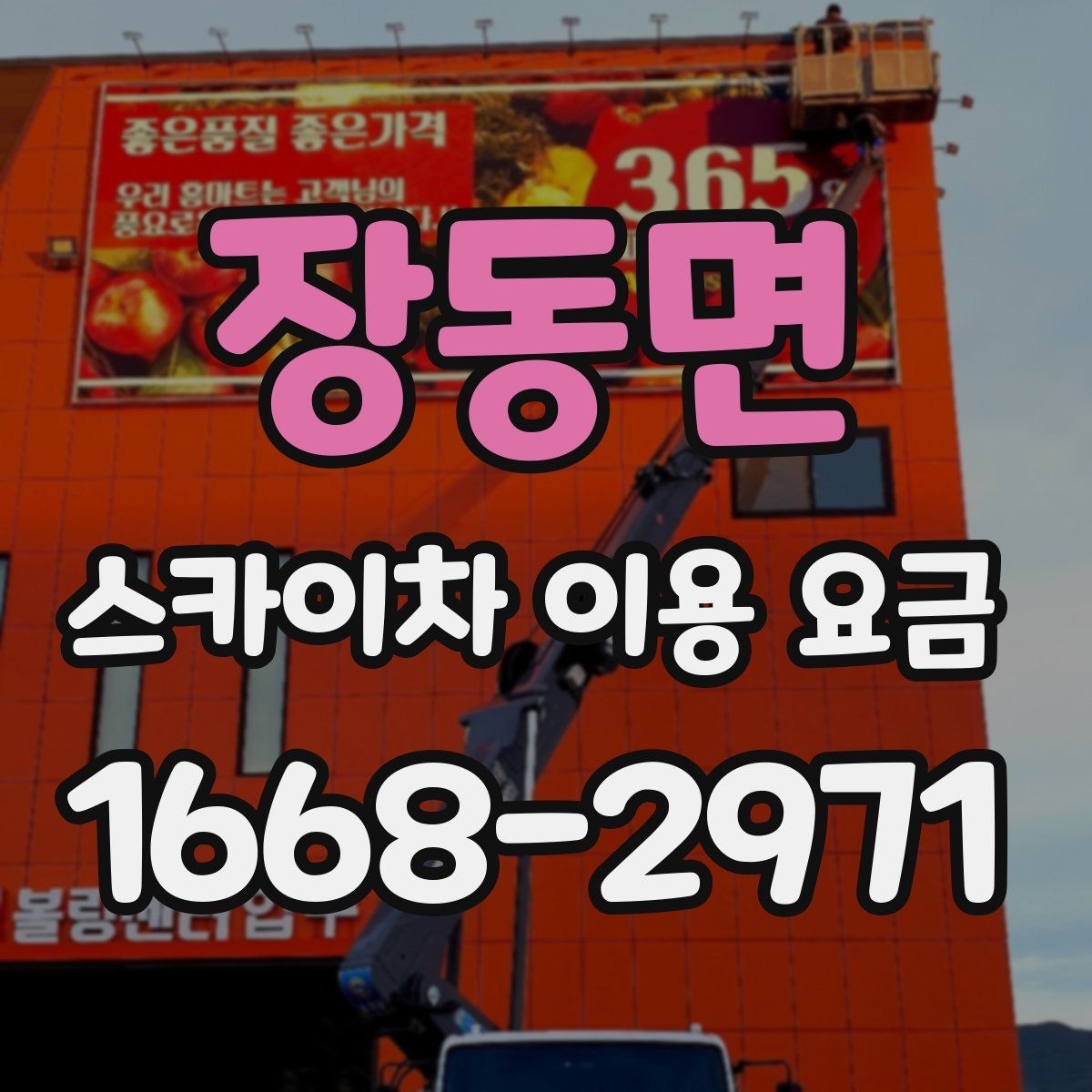 장동면 스카이차 이용 요금