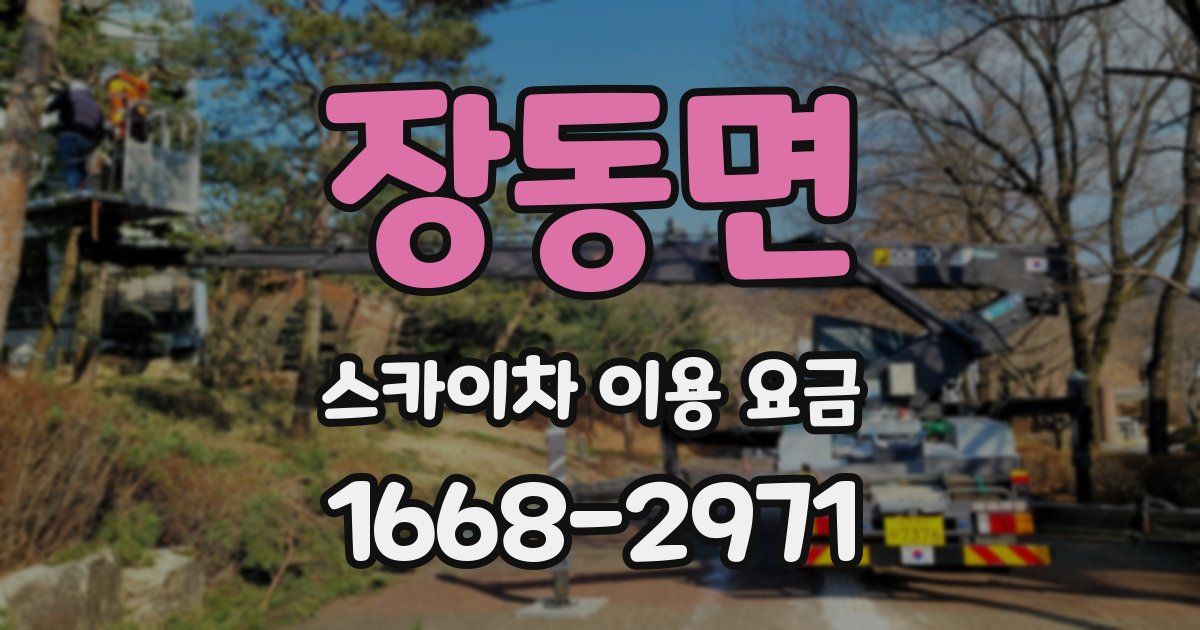 장동면 스카이차 이용 요금
