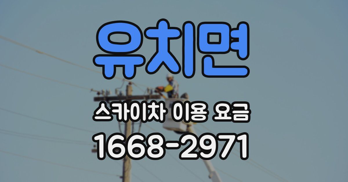 유치면 스카이차 이용 요금