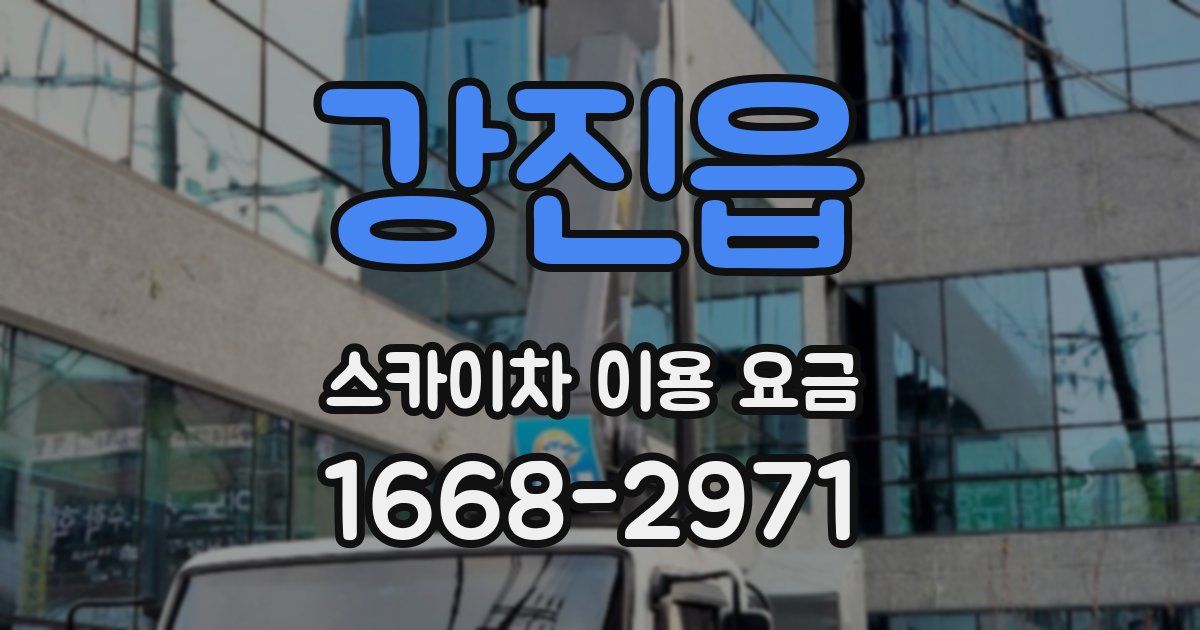 강진읍 스카이차 이용 요금