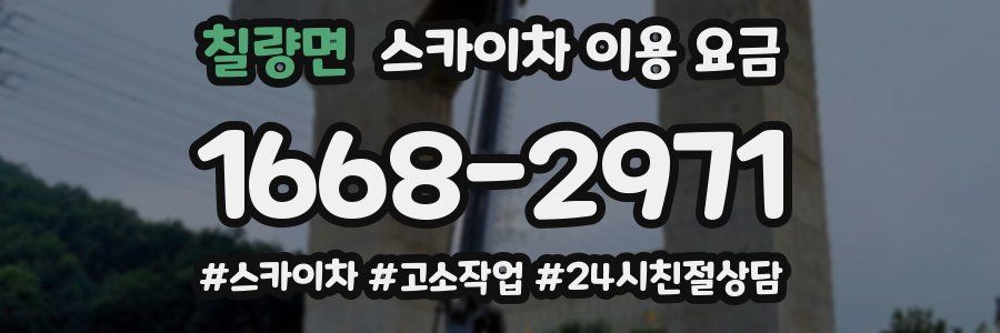 칠량면 스카이차 이용 요금