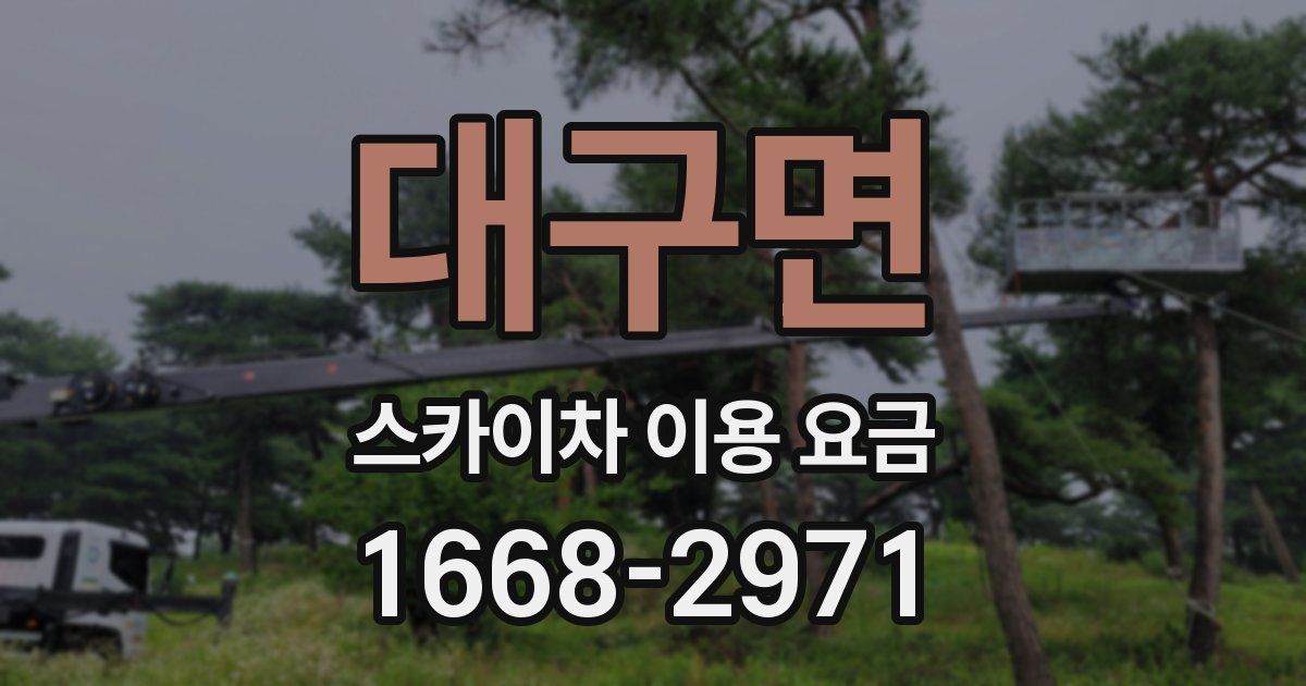 대구면 스카이차 이용 요금