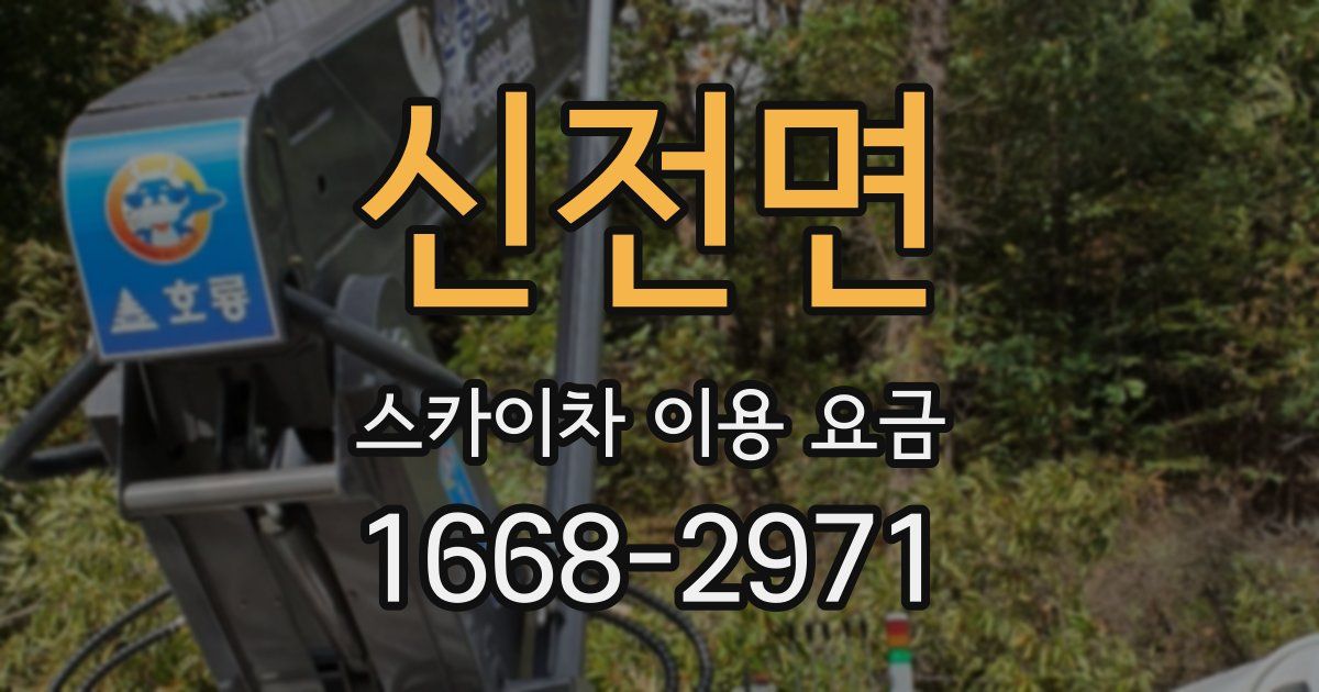 신전면 스카이차 이용 요금