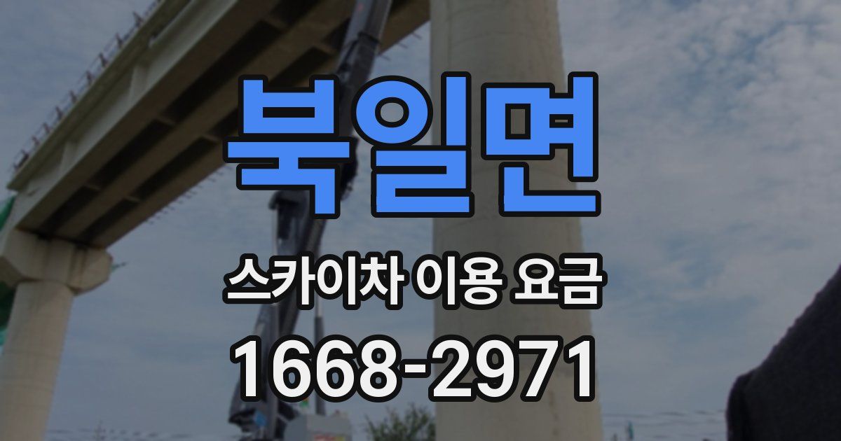 북일면 스카이차 이용 요금