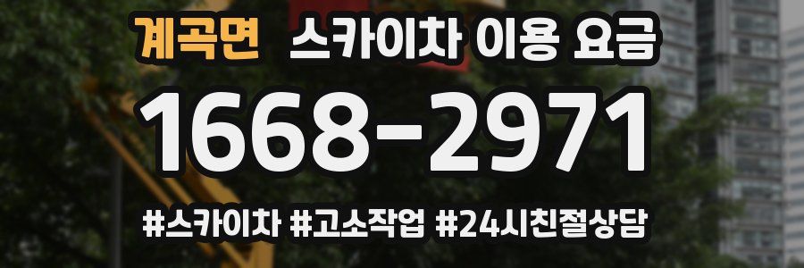 계곡면 스카이차 이용 요금