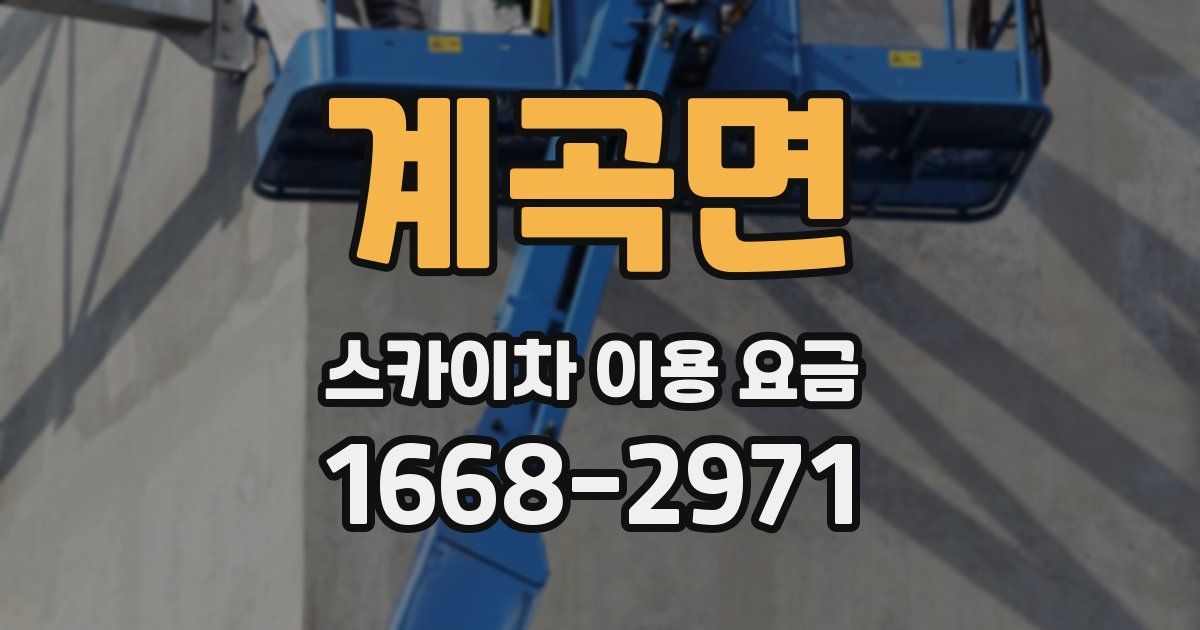 계곡면 스카이차 이용 요금