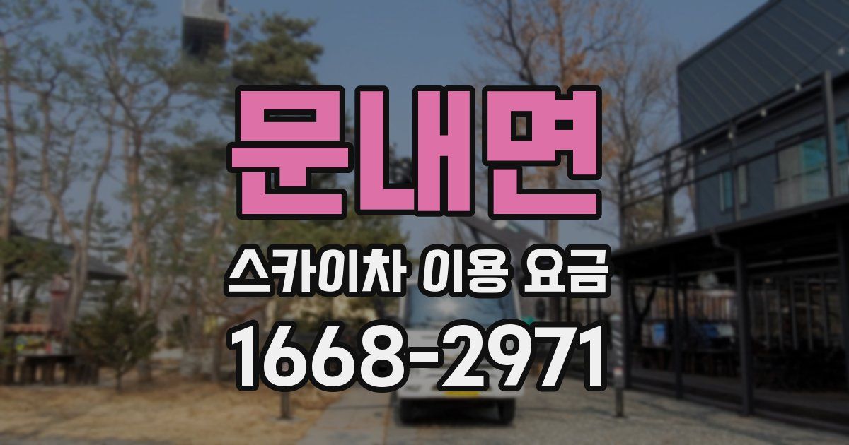 문내면 스카이차 이용 요금