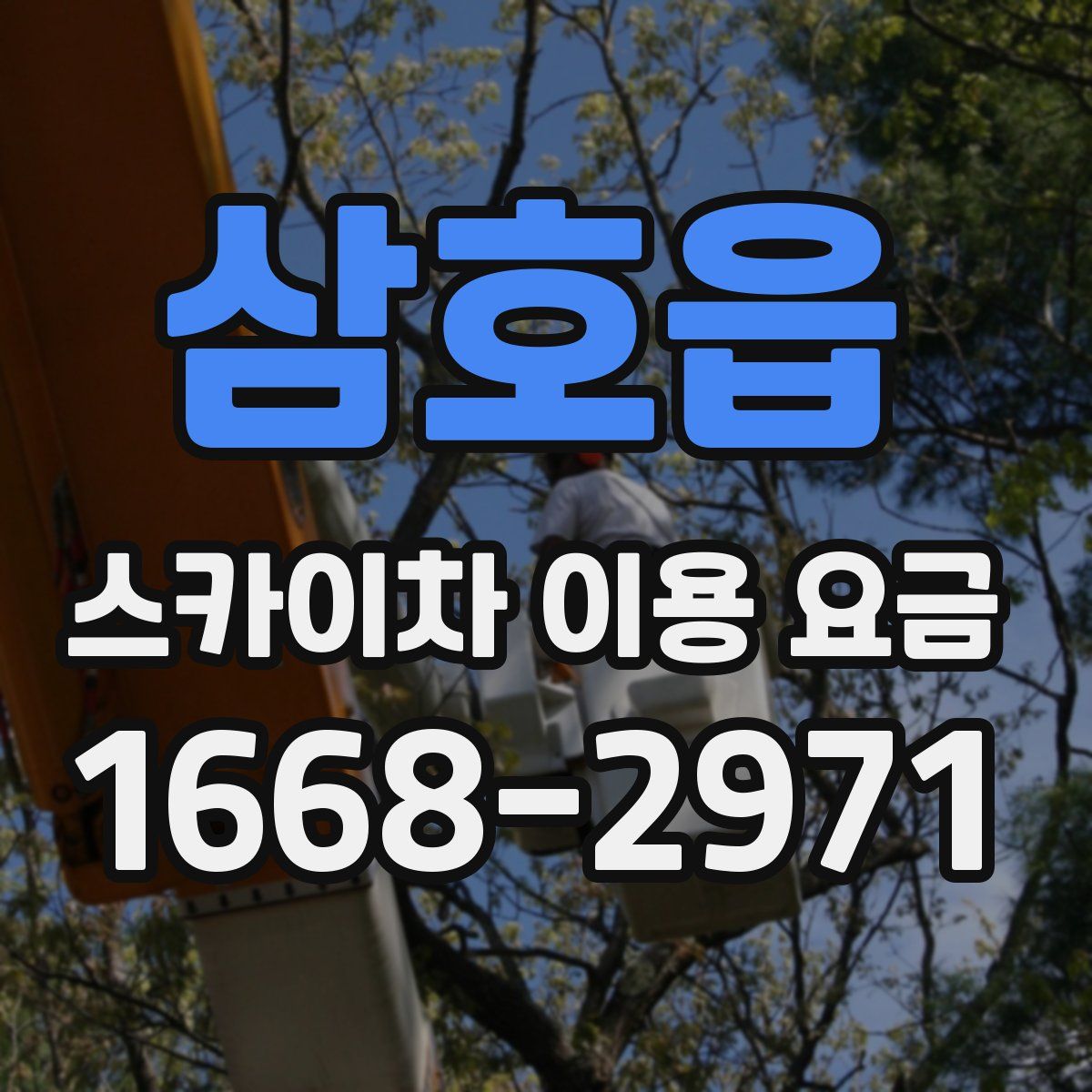 삼호읍 스카이차 이용 요금