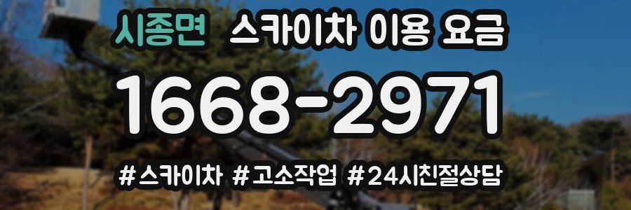 시종면 스카이차 이용 요금