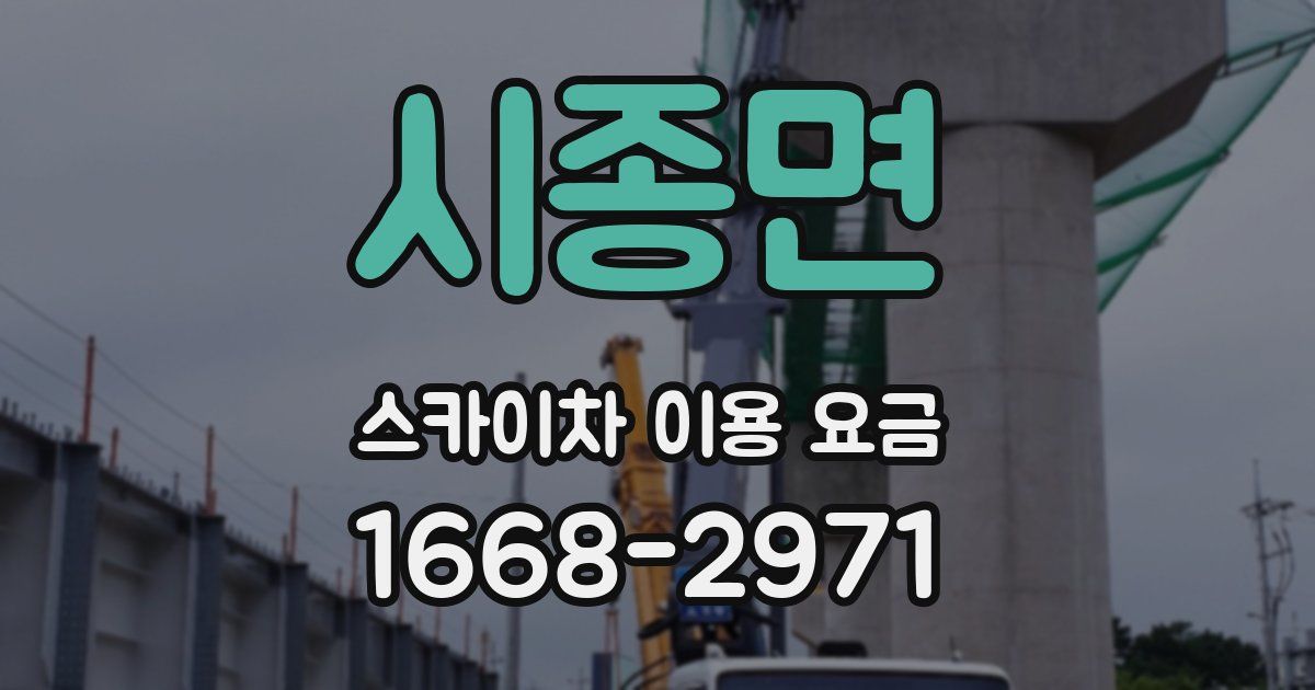 시종면 스카이차 이용 요금