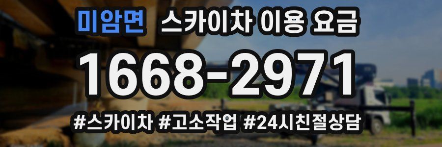 미암면 스카이차 이용 요금
