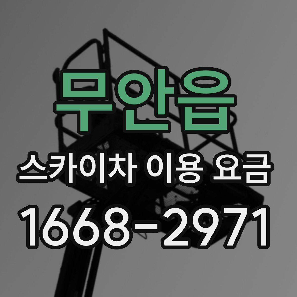 무안읍 스카이차 이용 요금 상담 전 알아두면 좋은 점