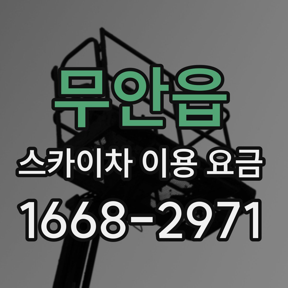 무안읍 스카이차 이용 요금