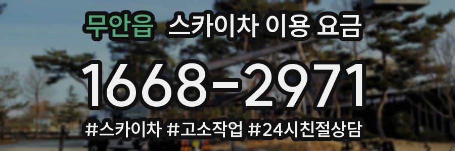 무안읍 스카이차 이용 요금