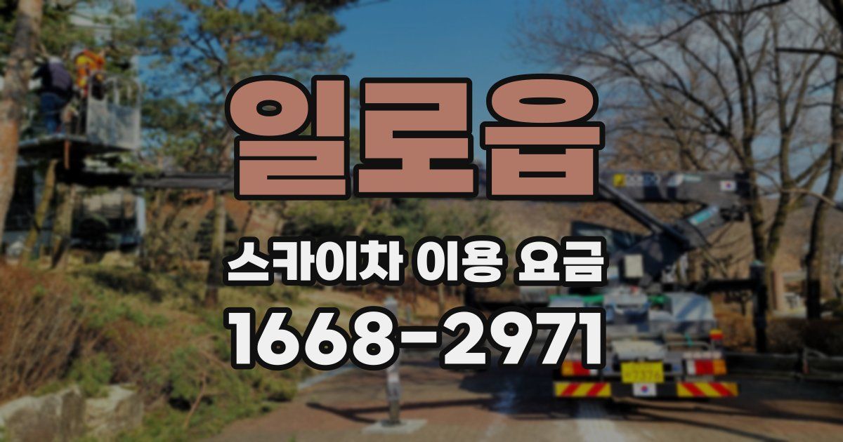 일로읍 스카이차 이용 요금