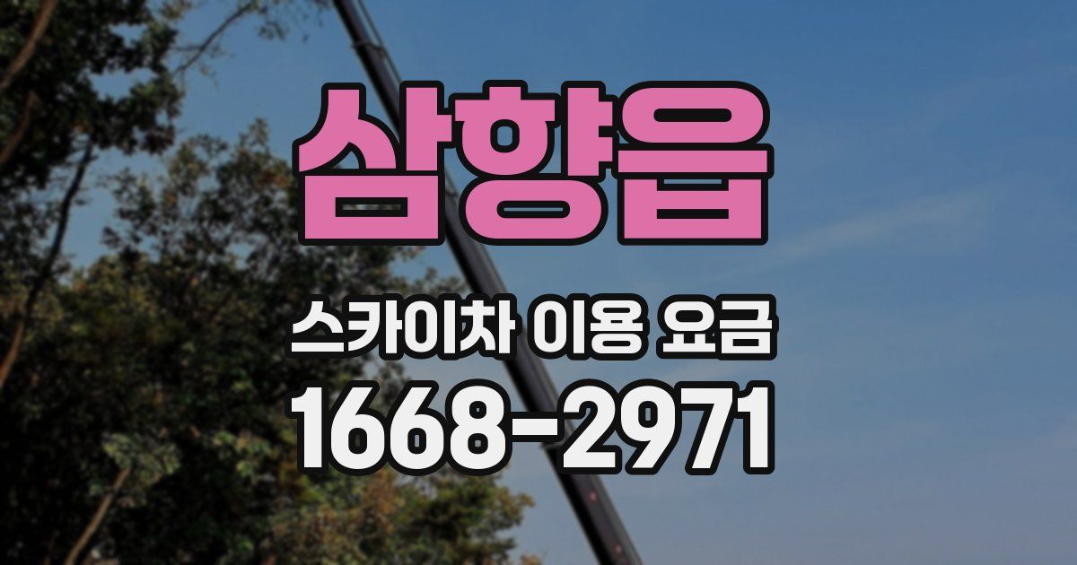 삼향읍 스카이차 이용 요금