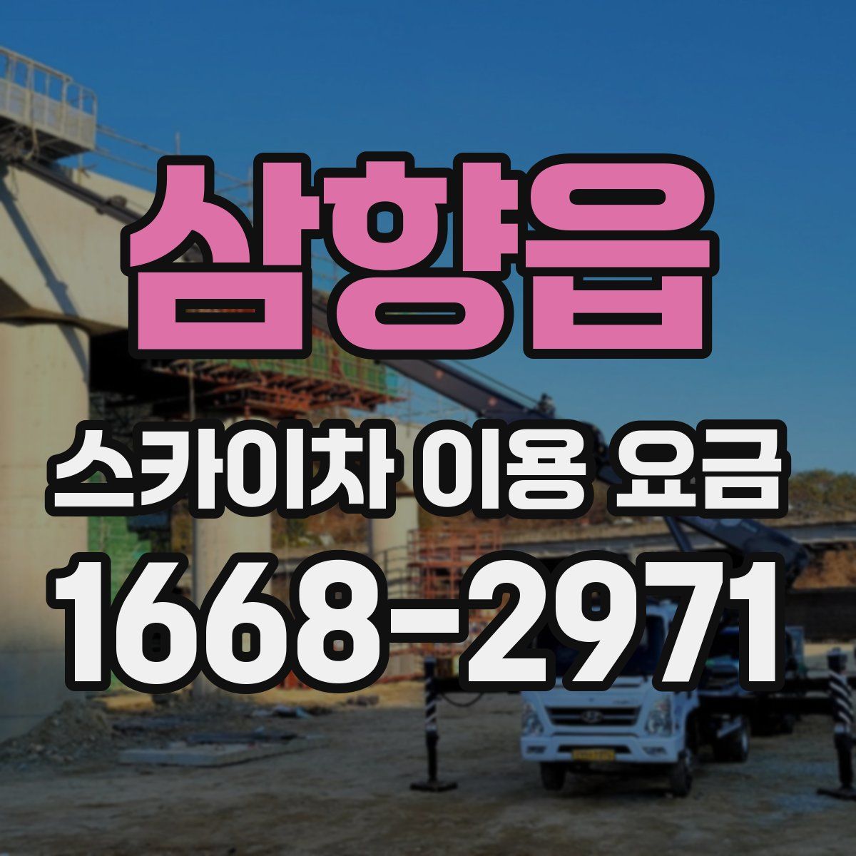 삼향읍 스카이차 이용 요금