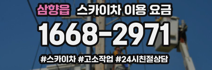삼향읍 스카이차 이용 요금