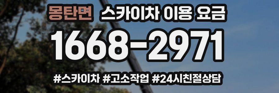 몽탄면 스카이차 이용 요금