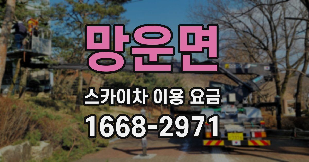 망운면 스카이차 이용 요금