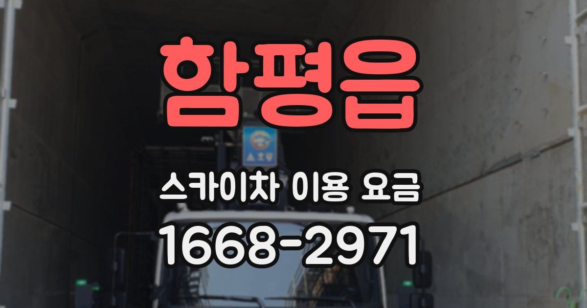 함평읍 스카이차 이용 요금