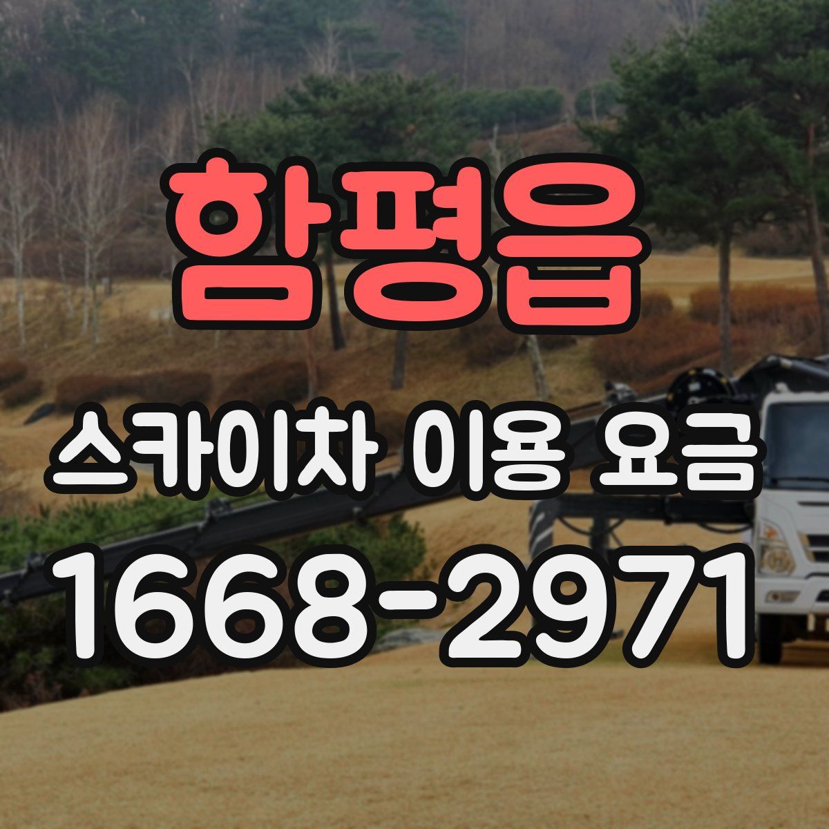 함평읍 스카이차 이용 요금