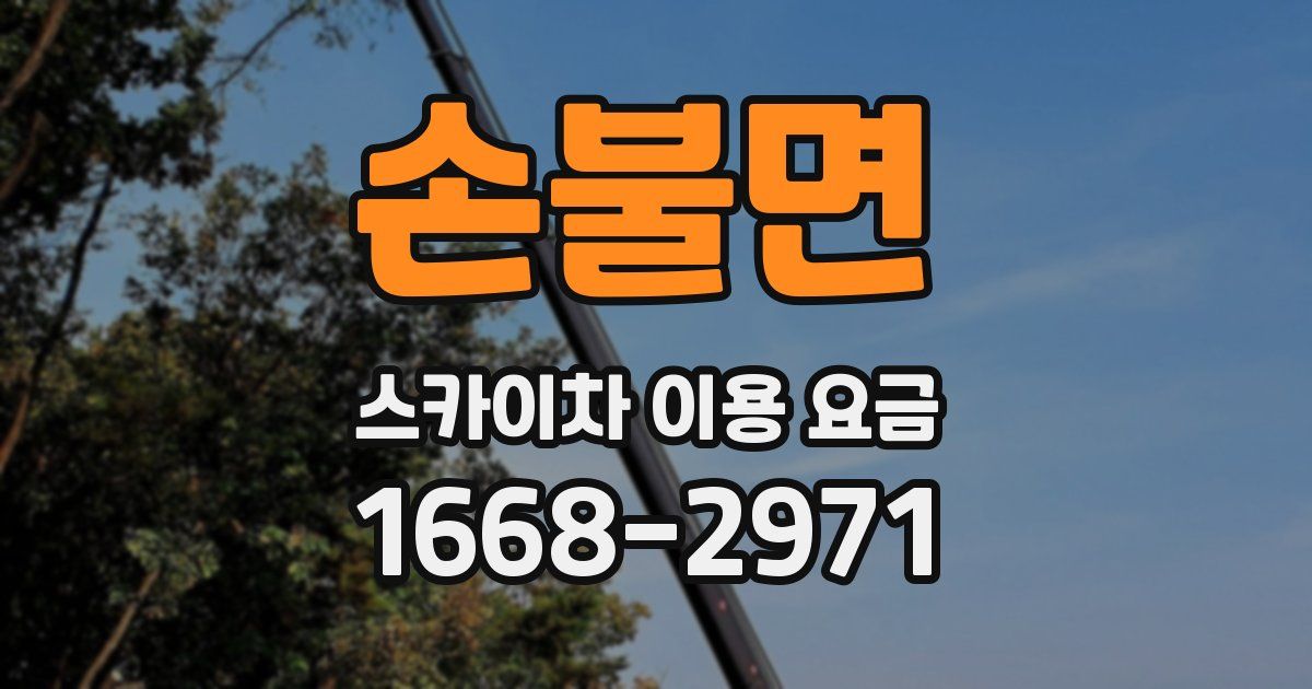 손불면 스카이차 이용 요금