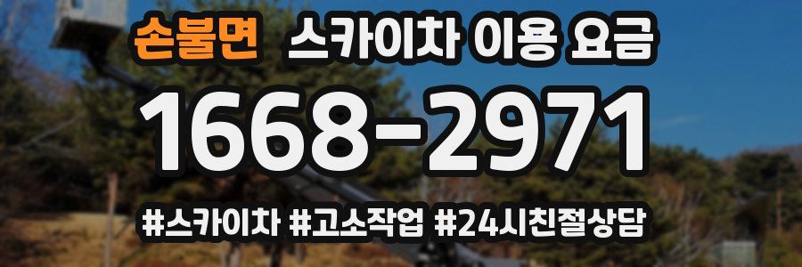 손불면 스카이차 이용 요금