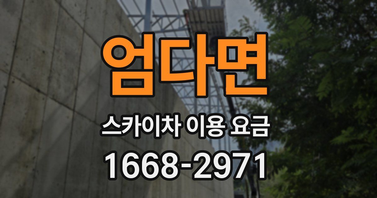 엄다면 스카이차 이용 요금