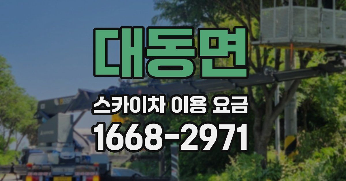 대동면 스카이차 이용 요금