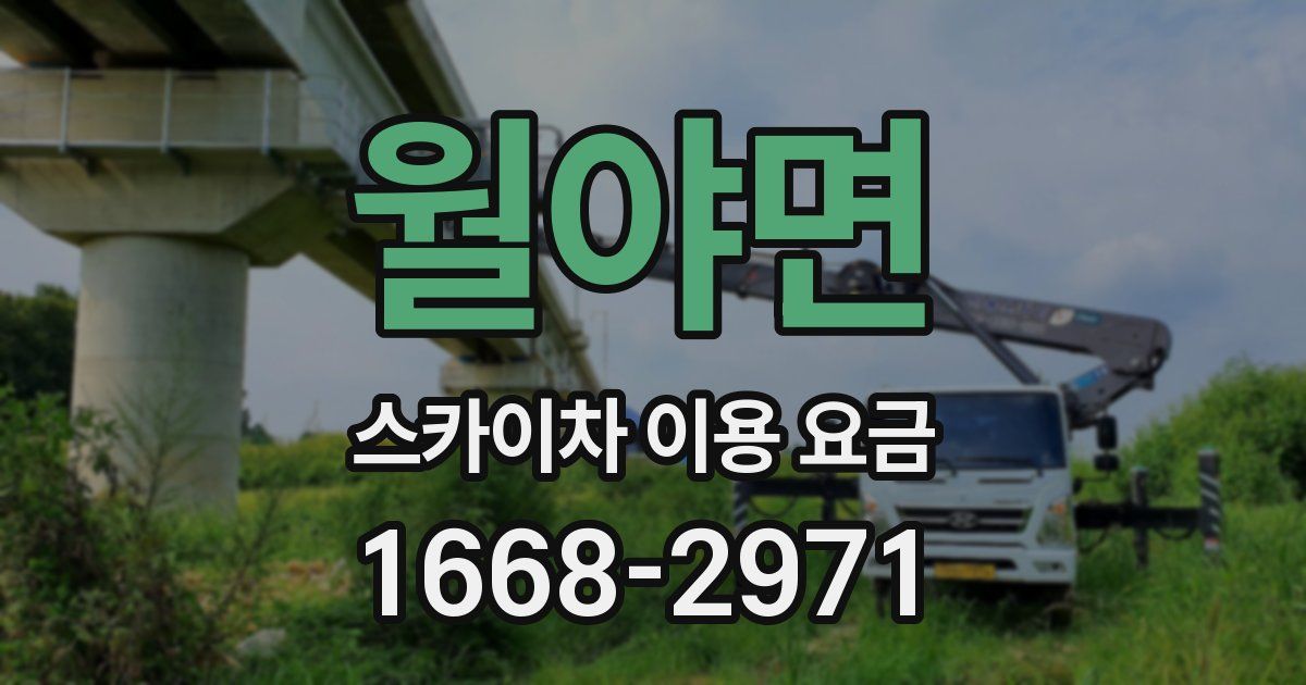 월야면 스카이차 이용 요금