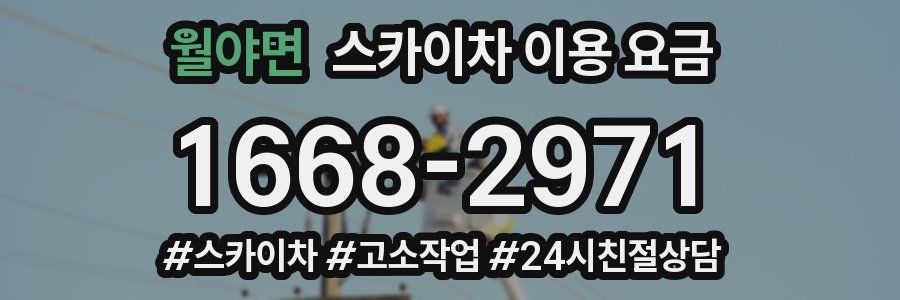 월야면 스카이차 이용 요금