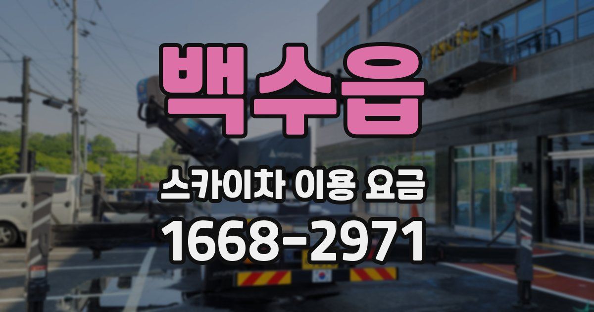 백수읍 스카이차 이용 요금