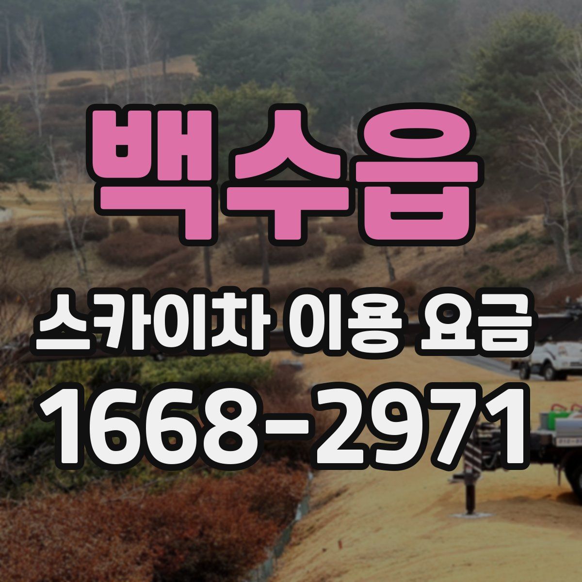 백수읍 스카이차 이용 요금
