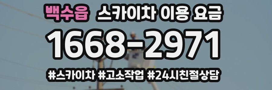 백수읍 스카이차 이용 요금