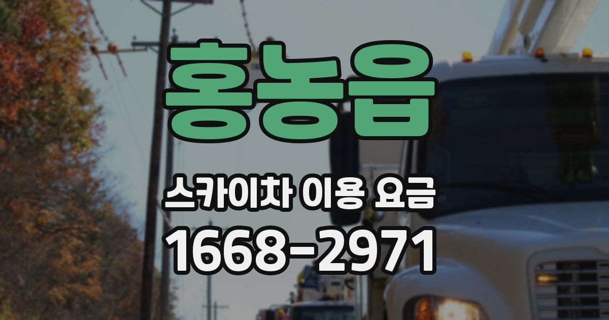 홍농읍 스카이차 이용 요금