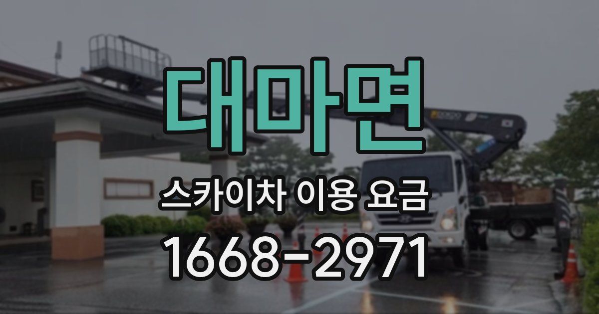 대마면 스카이차 이용 요금