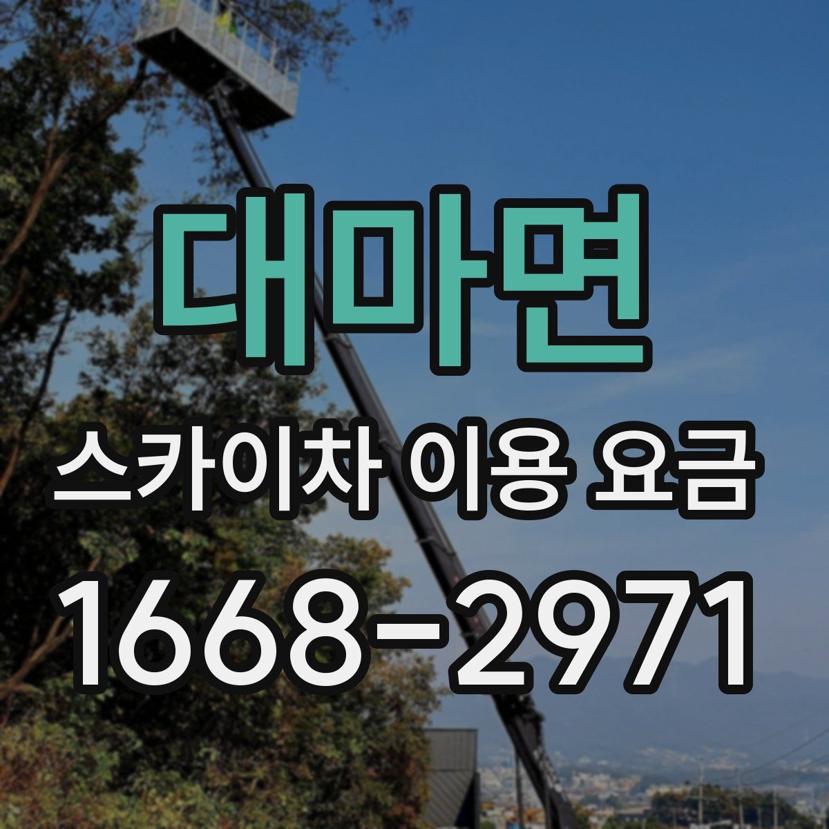 대마면 스카이차 이용 요금